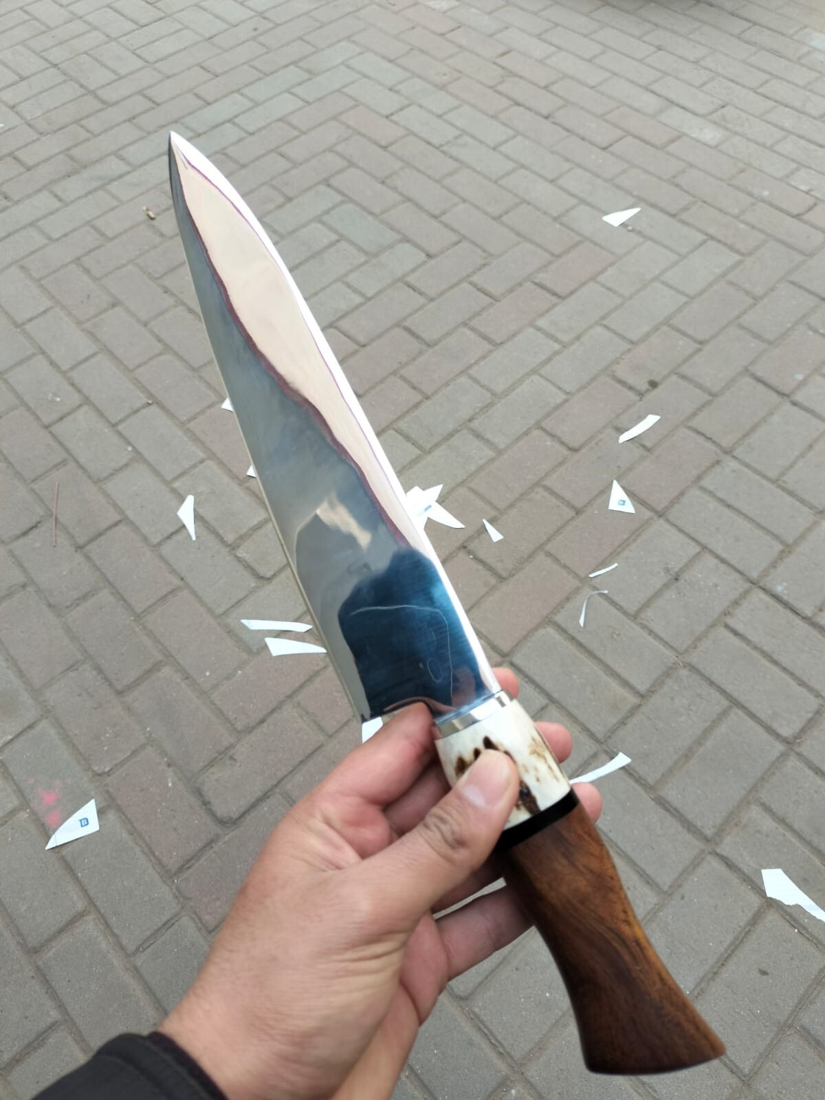 Handmade Chef knife Mirror Polished J2 steel Kitchen knife stag and wood handle