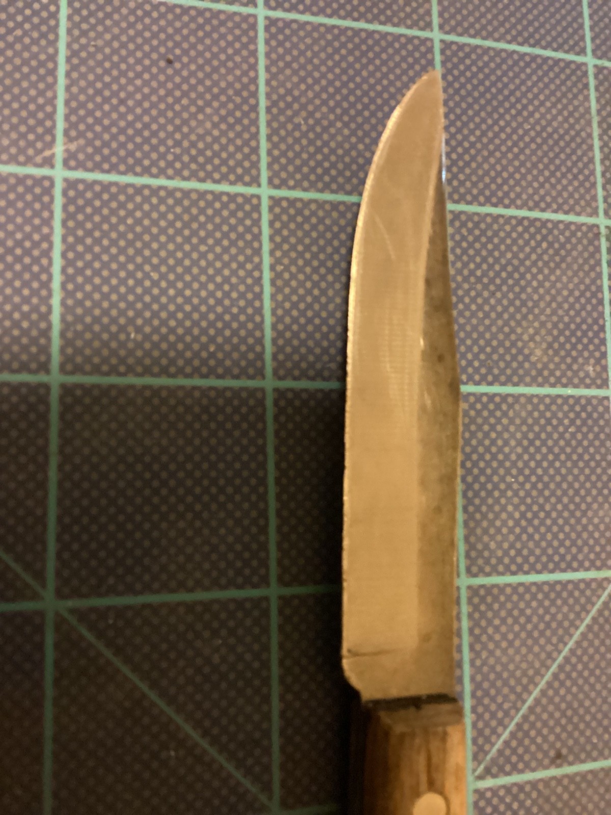 Vintage CASE XX CAP 273-3” Stainless Blade Paring Knife Wood Handle USA