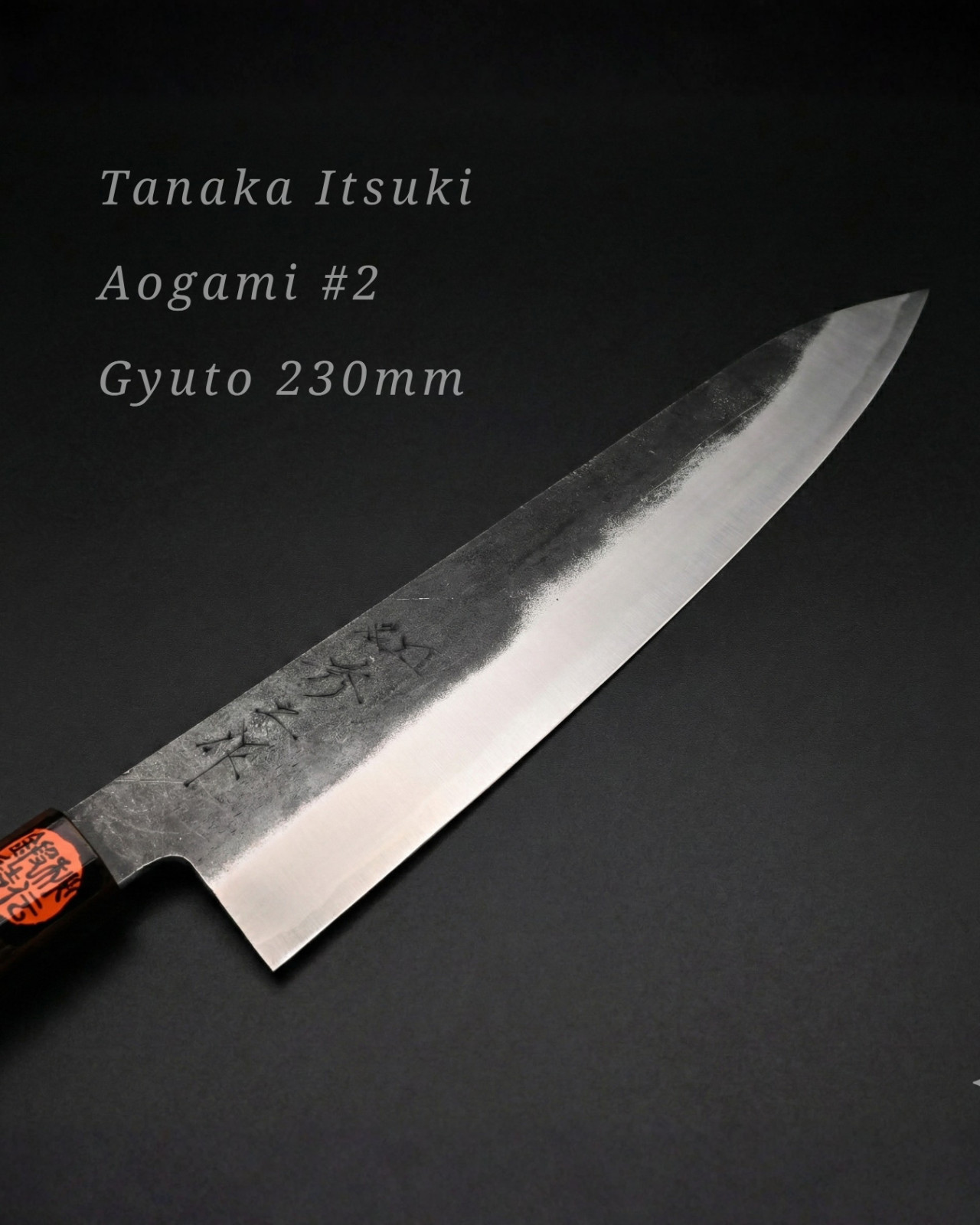 Tanaka Itsuki Aogami #2 Gyuto Knife 230mm, Hand Forged Chef Knife from Japan