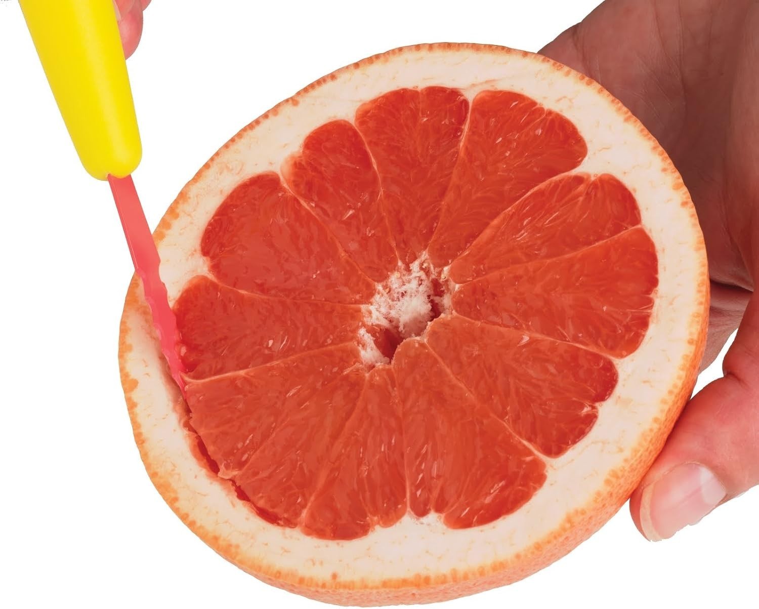 Grapefruit Knife Nonstick Stainless Steel 8 75 Inch Dual Blade Kitchen Tool