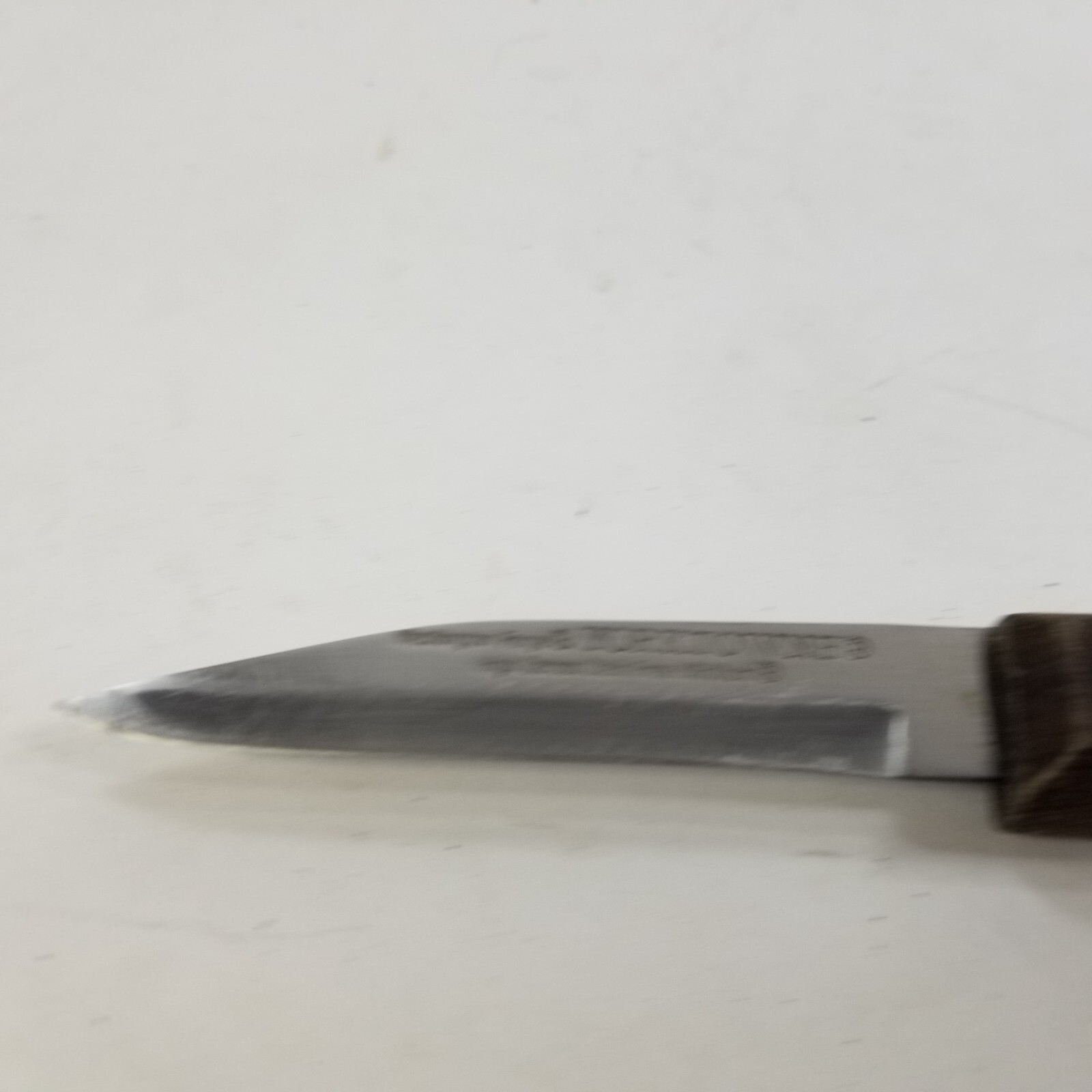 WASHINGTON FORGE BRAZIL YORKTOWNE STAINLESS STEEL PARER KNIFE WOOD HANDLE 3 1/4″