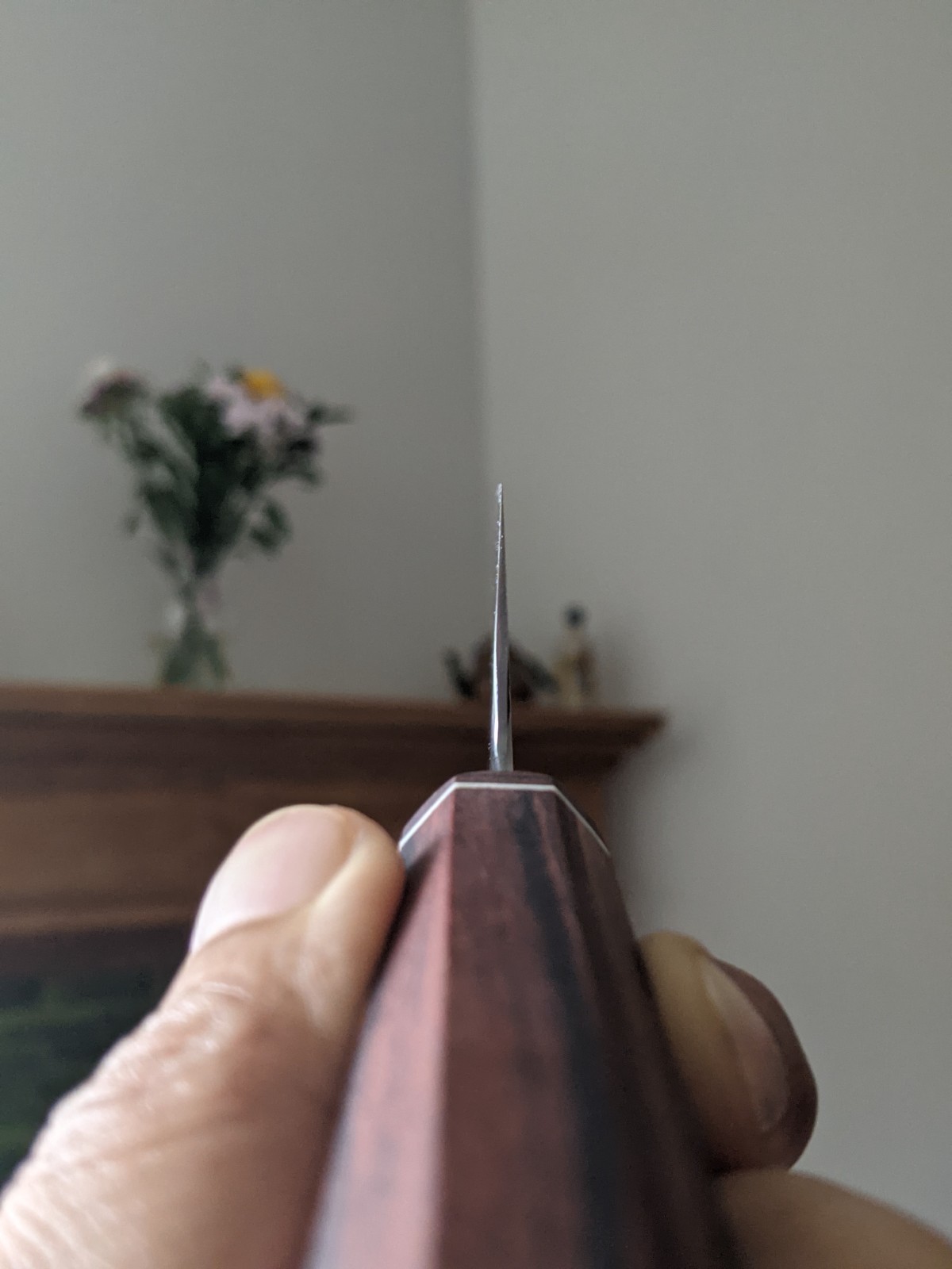HSC / Small But Mighty Petty Knife (150 x 44) in 14c28n