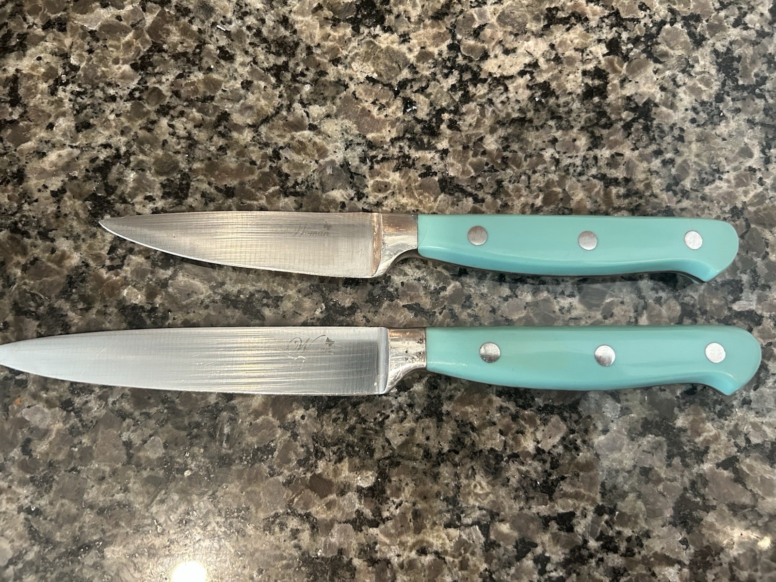 Pioneer Woman 13 Piece Knife Set Plus Block Blue Teal Handles Complete Set Used