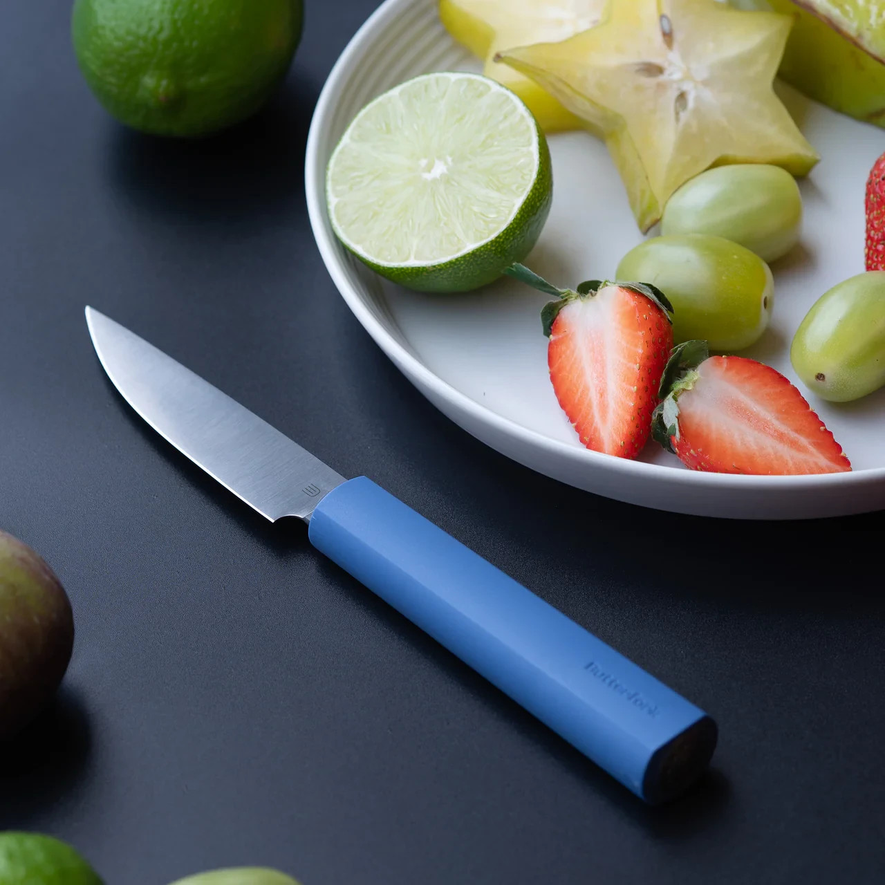 Butterfork Paring Kitchen Knife 3.5 Polished AR-RPM9 Steel Blade Blue ABS Handle