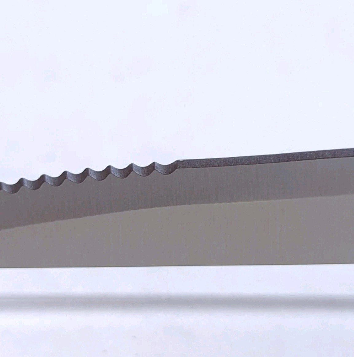 PREMIER by Calphalon 4.5″ Serrated STEAK Knife, Dual-Rivet Handle, NEW, KN0104E