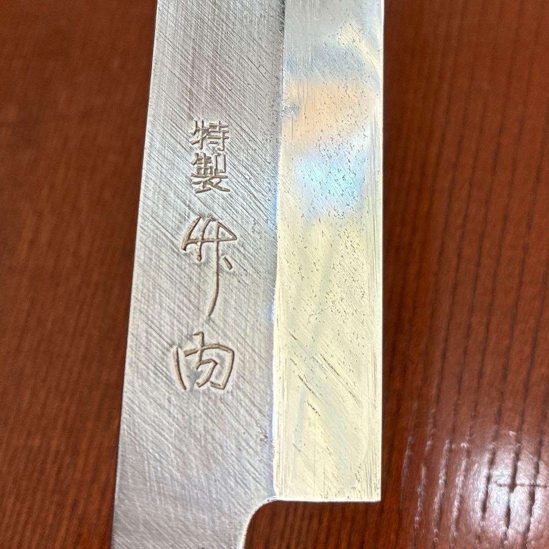 Japanese Sashimi Yanagiba Knife Takeda Saku Forged Steel Culinary Tool 230mm
