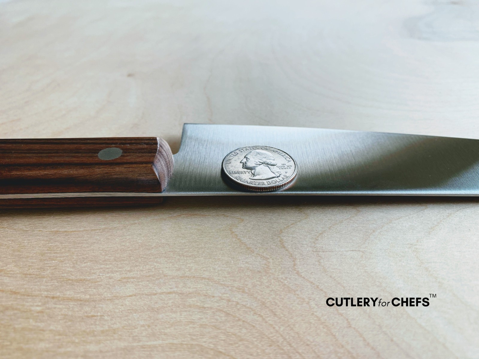 Japanese Gyuto Chef Knife by Fuji Cutlery MADE IN JAPAN – FREE US SHIPPING