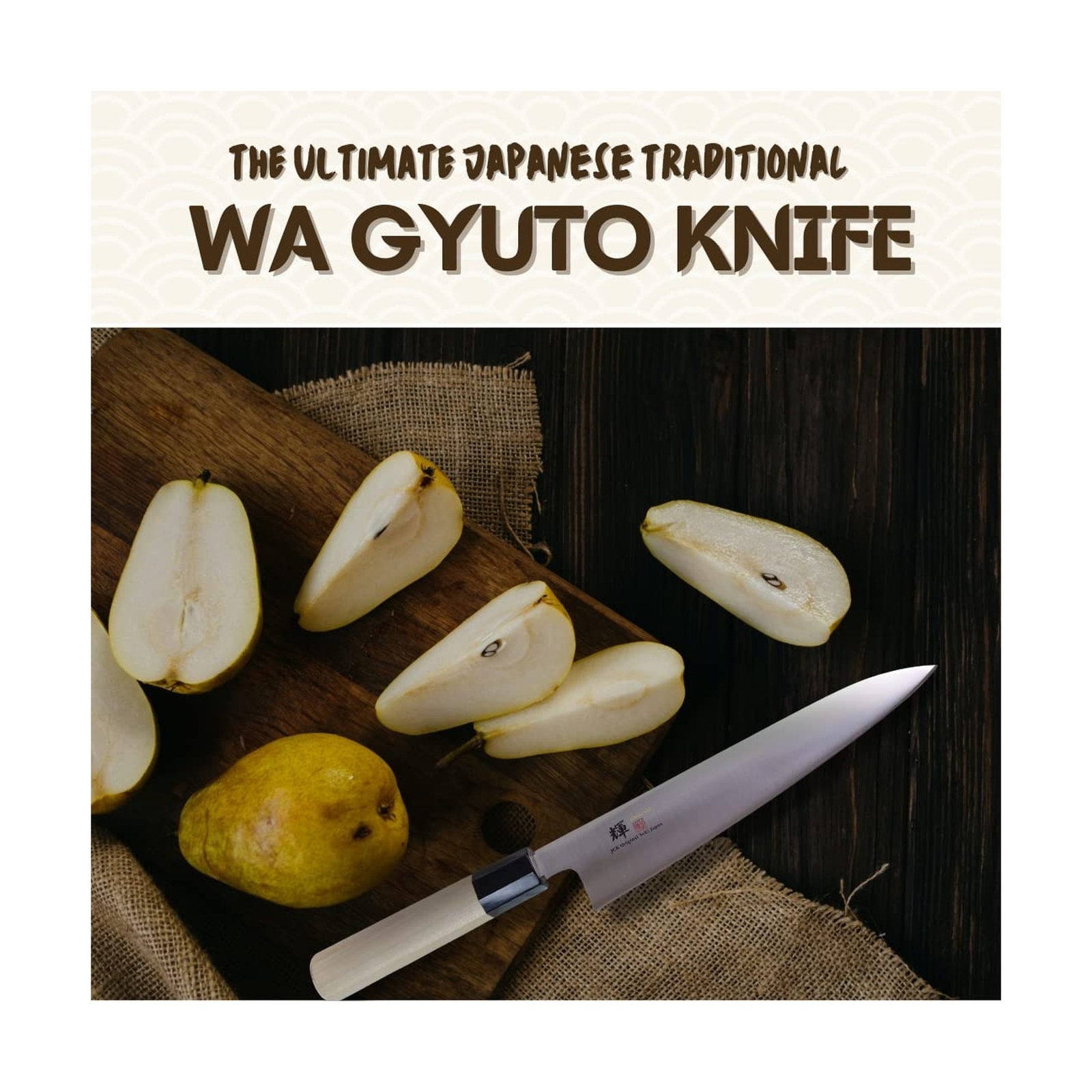 Kagayaki Japanese Chef’s Knife, KV-8SES Professional Wa Gyuto Knife, VG-10