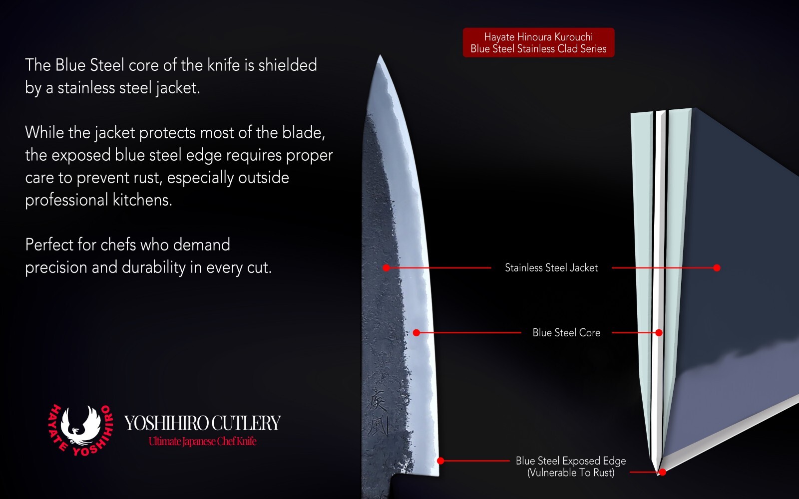 Hayate Hinoura Kurouchi Blue Steel Stainless Clad Santoku Multipurpose Knife