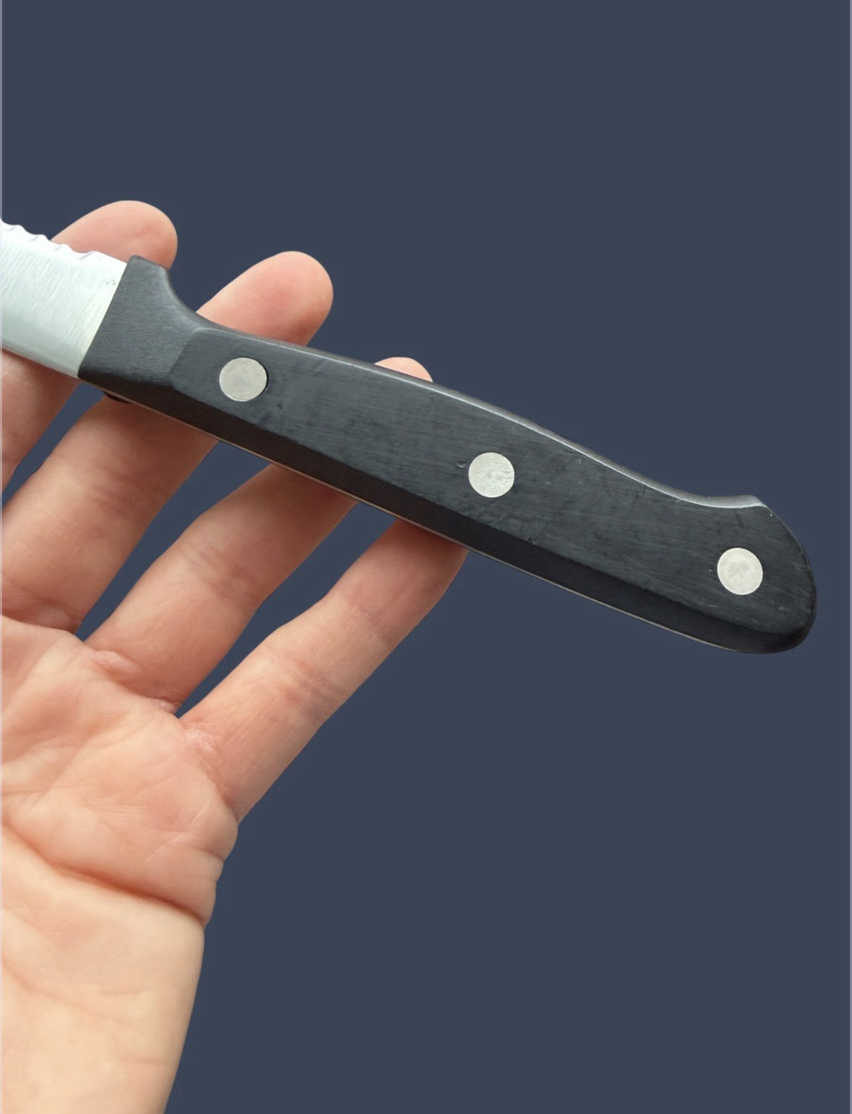 Wüsthof Gourmet 4115 13cm Burger Knife 5” Germany Stainless