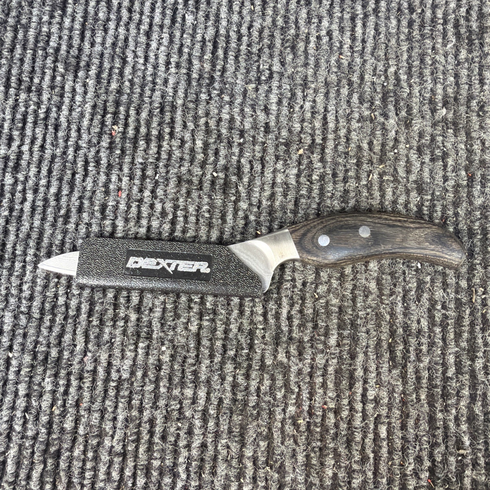 Kai Shun Cobalt M.V. Steel 5” Utility Knife DM-0501 Made In Japan Ken Onion