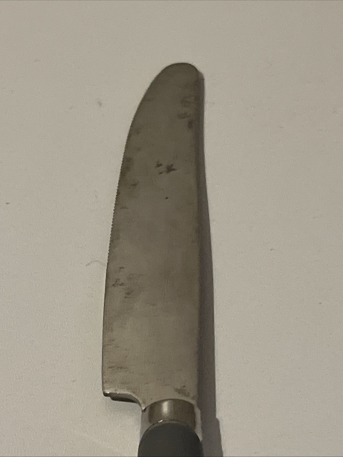 Kitchen Utility Knife Gray Matte Stainless Steel 1 Piece