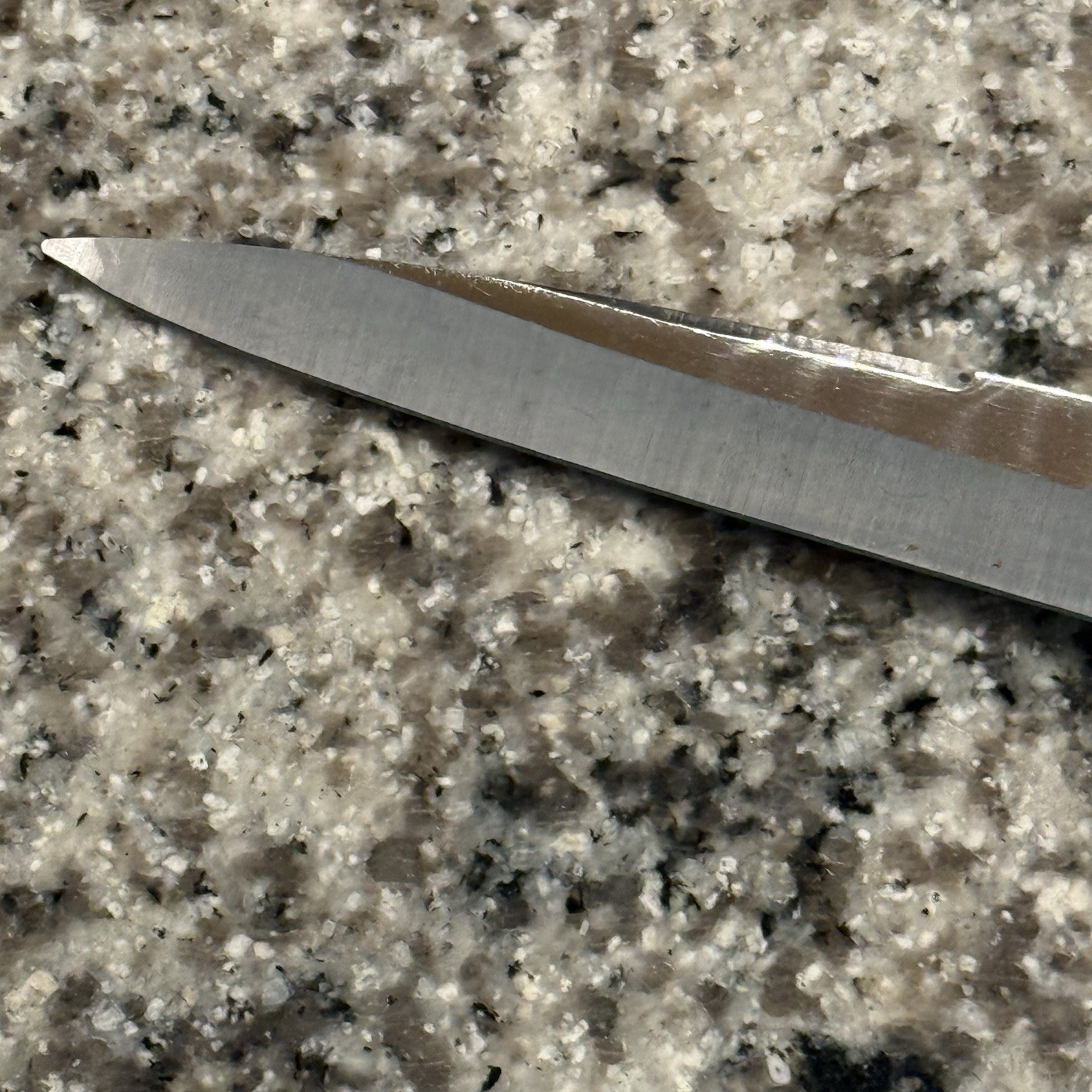 VTG Interpur Stainless Steel Filet Slicing Knife Made In Japan 10.5″ Blade