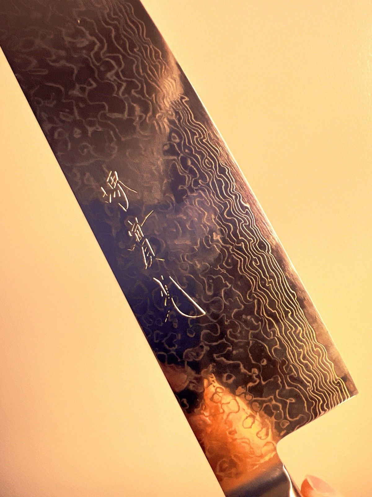 Japanese Gyuto Chef knife 240mm SG2 steel