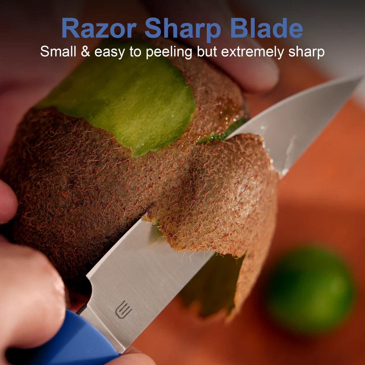 Butterfork Paring Kitchen Knife 3.5 Polished AR-RPM9 Steel Blade Blue ABS Handle
