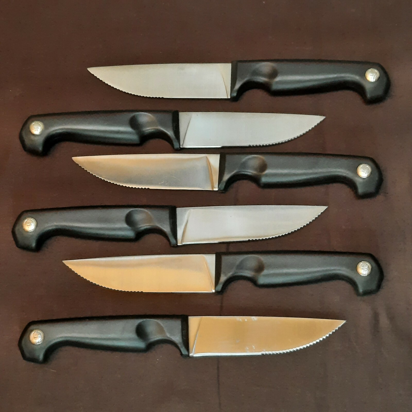 Hoffritz Signature Serated Steak Knives Set of 6 Fine Stainless Rostfrei Inox