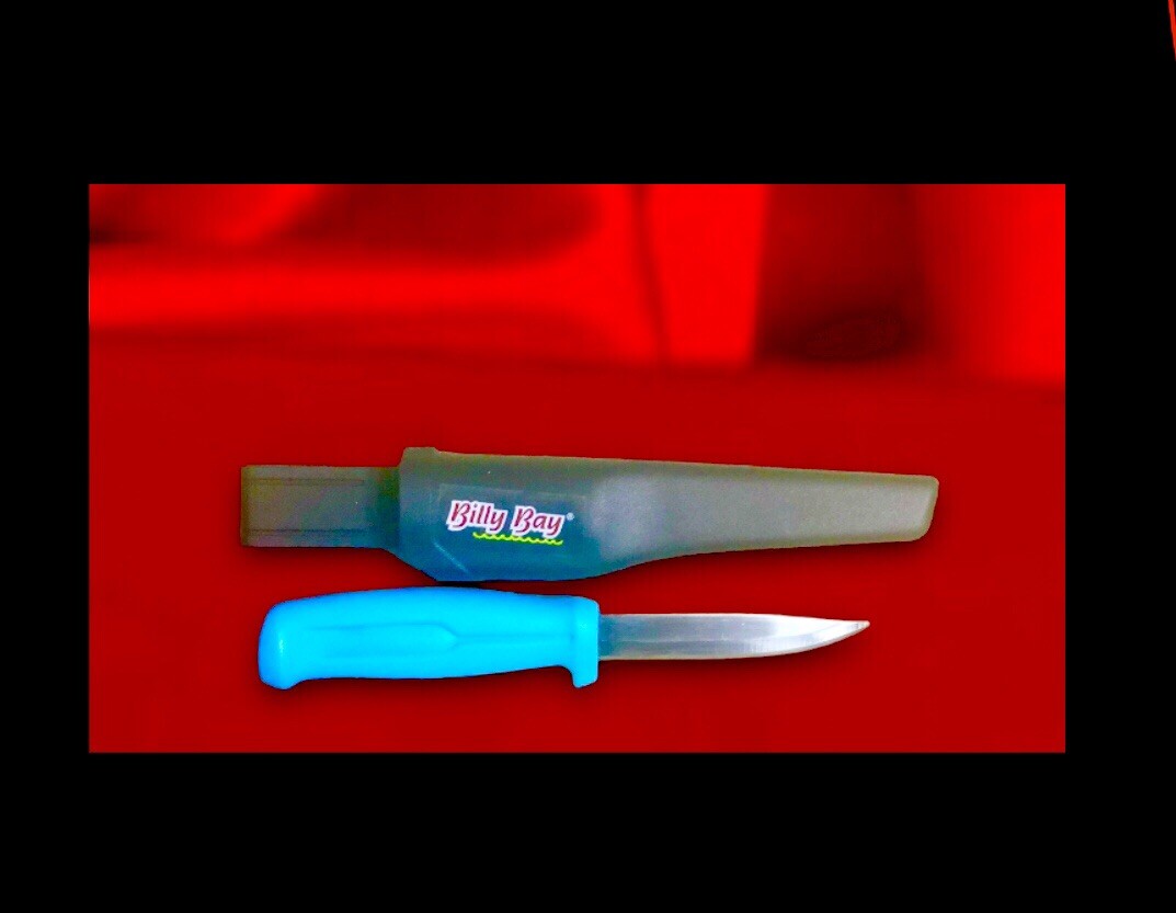 Hiviz Razor Sharp 8” KNIFE (4″ BLADE)+ Holster HIGH CARBON STAINLESS STEEL, Blue