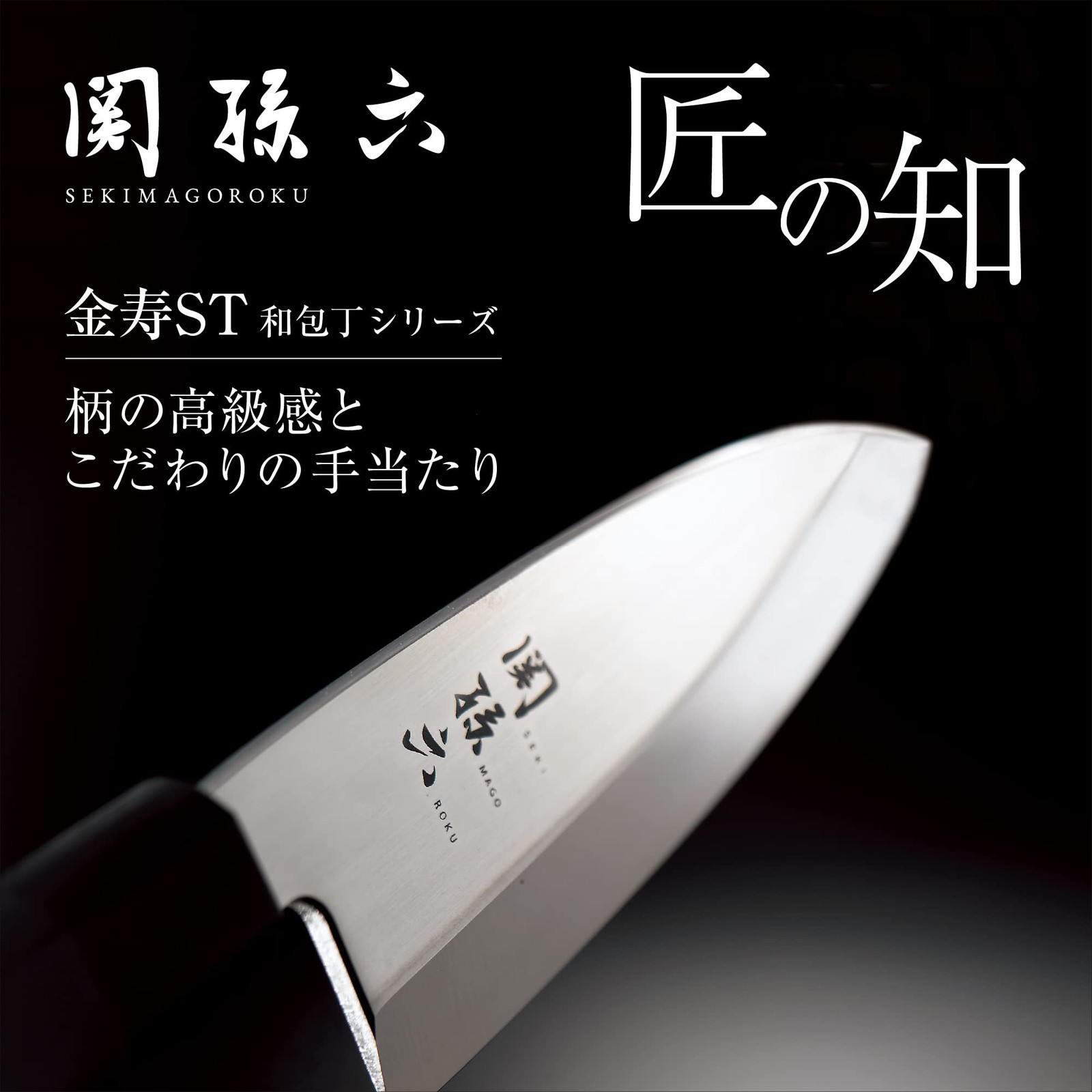 KAI Deba Knife Seki Magoroku Kinju Stainless Steel 240mm Made in Japan 093 AK225