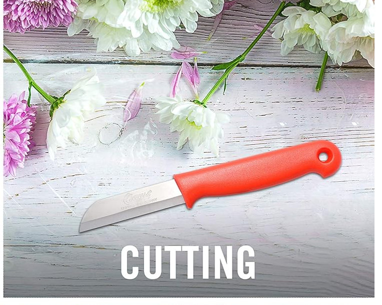 Set of 5 Clauss fixed blade straight floral knife knives