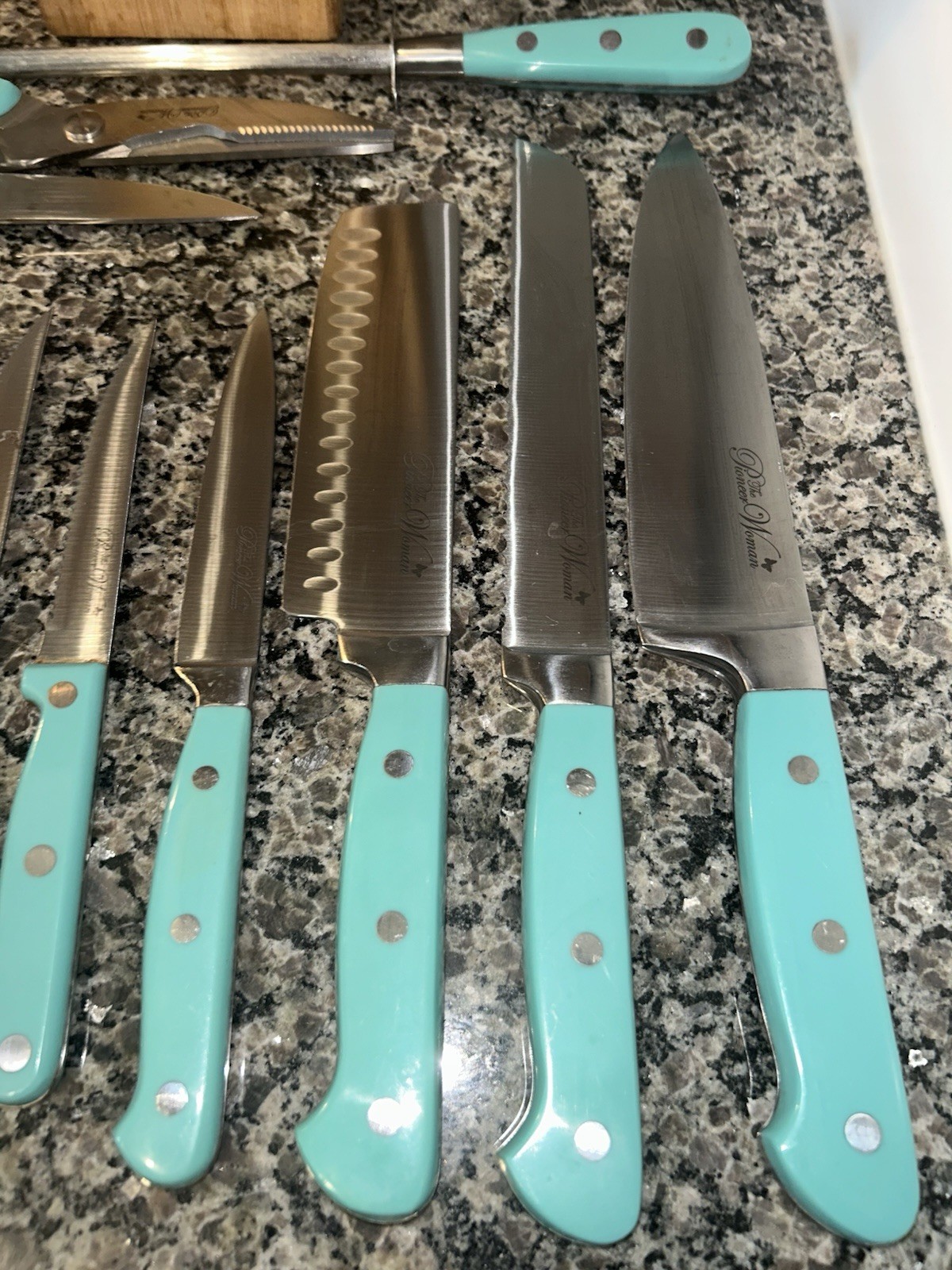 Pioneer Woman 13 Piece Knife Set Plus Block Blue Teal Handles Complete Set Used