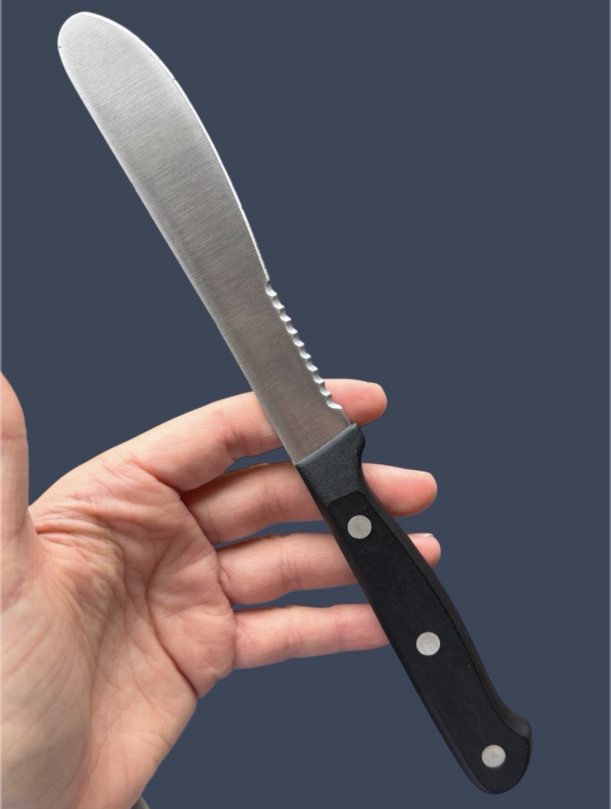 Wüsthof Gourmet 4115 13cm Burger Knife 5” Germany Stainless